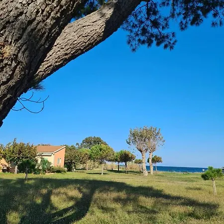 Maison De 3 A A 100 M De La Plage Avec Terrasse Et Wifi Holiday home Poggio Mezzana