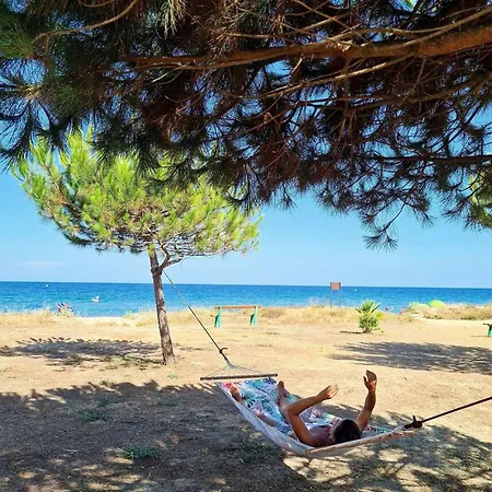 Maison De 3 A A 100 M De La Plage Avec Terrasse Et Wifi Holiday home *